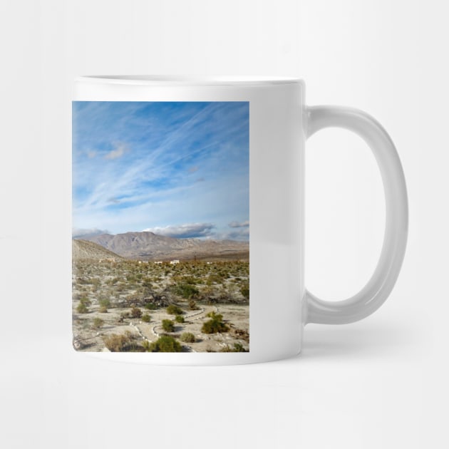 Anza Borrego Desert State Park by supernova23